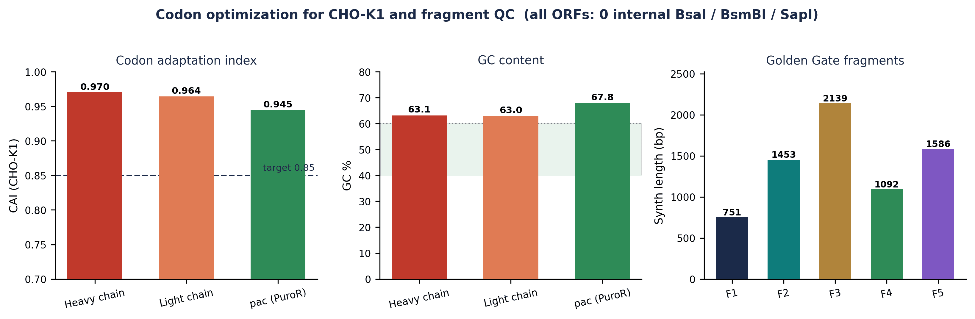 CHO-K1 codon optimization QC — CAI and GC content per fragment