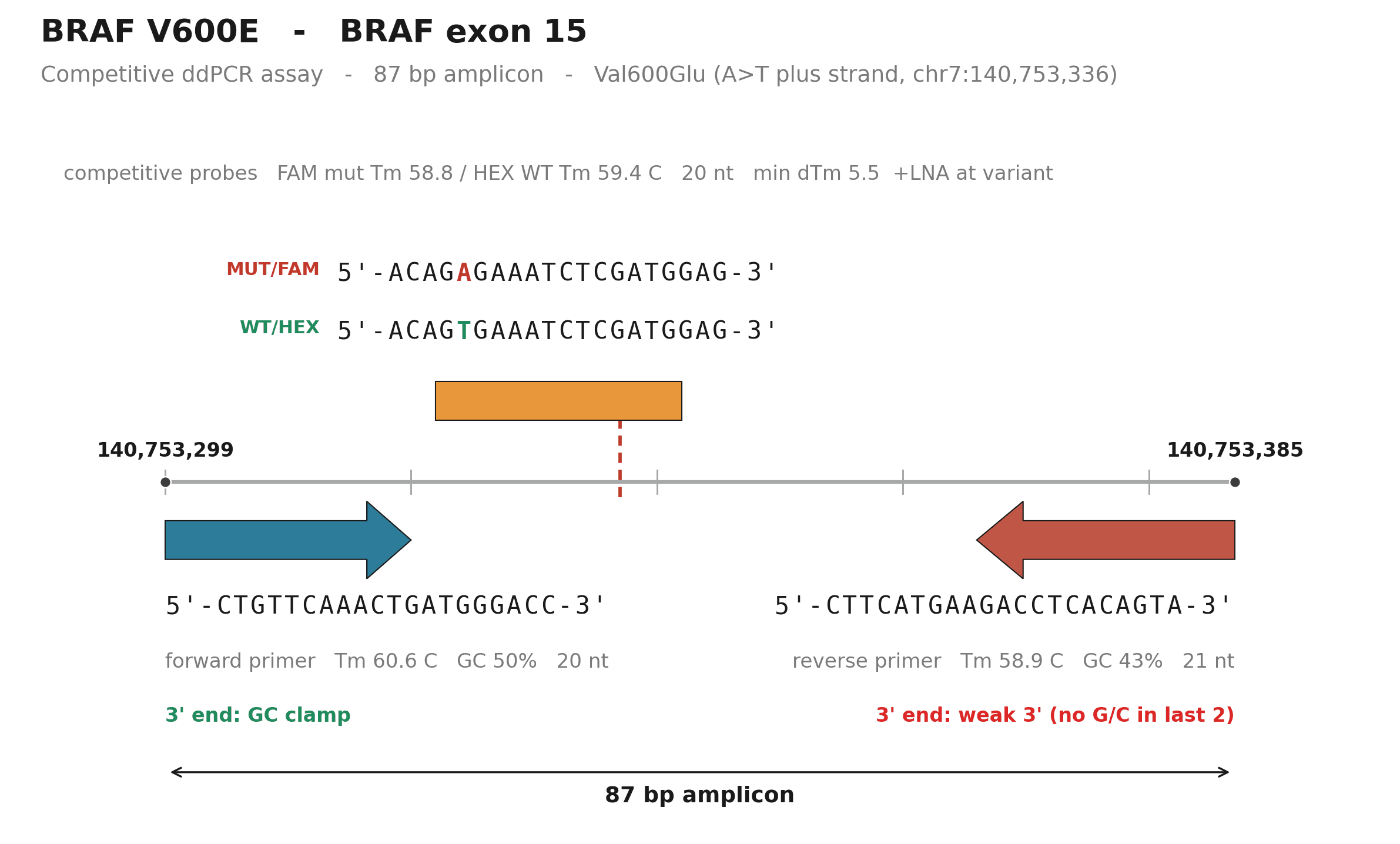 BRAF V600E primer/probe placement — BRAFP1 pseudogene designed out
